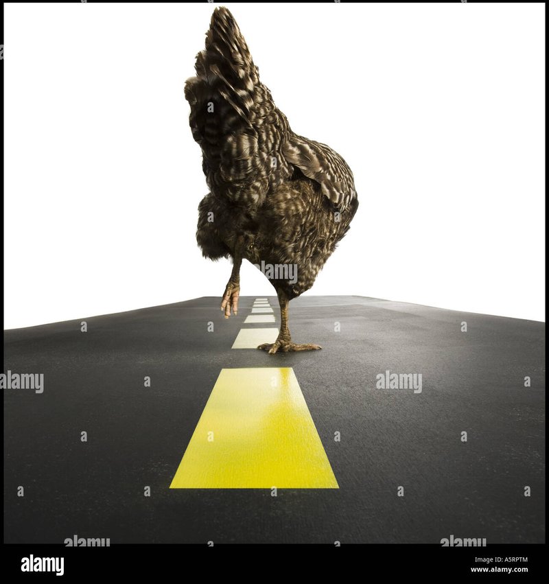 Chicken road 2 españa - Descubre los Secretos de Chicken Road 2 en el Mejor Casino de España Chicken road 2 españa - Descubre los Secretos de Chicken Road 2 en el Mejor Casino de España