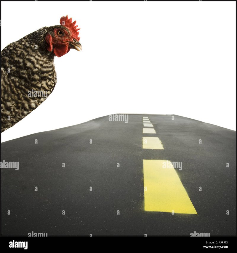 Chicken road - Descubre el Juego de Azar más Emocionante en la Carretera del Pollo en España